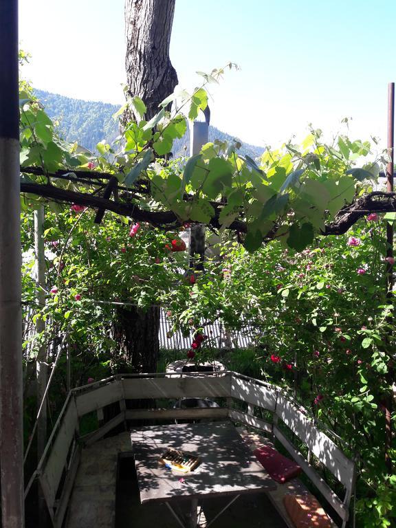 Rachvela'S Guest House Bordzjomi Buitenkant foto