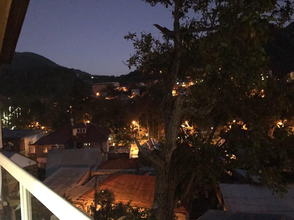 Rachvela'S Guest House Bordzjomi Buitenkant foto